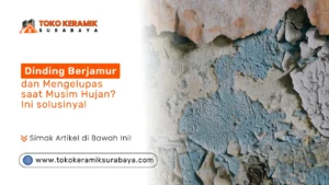 dinding berjamur dan cat mengelupas